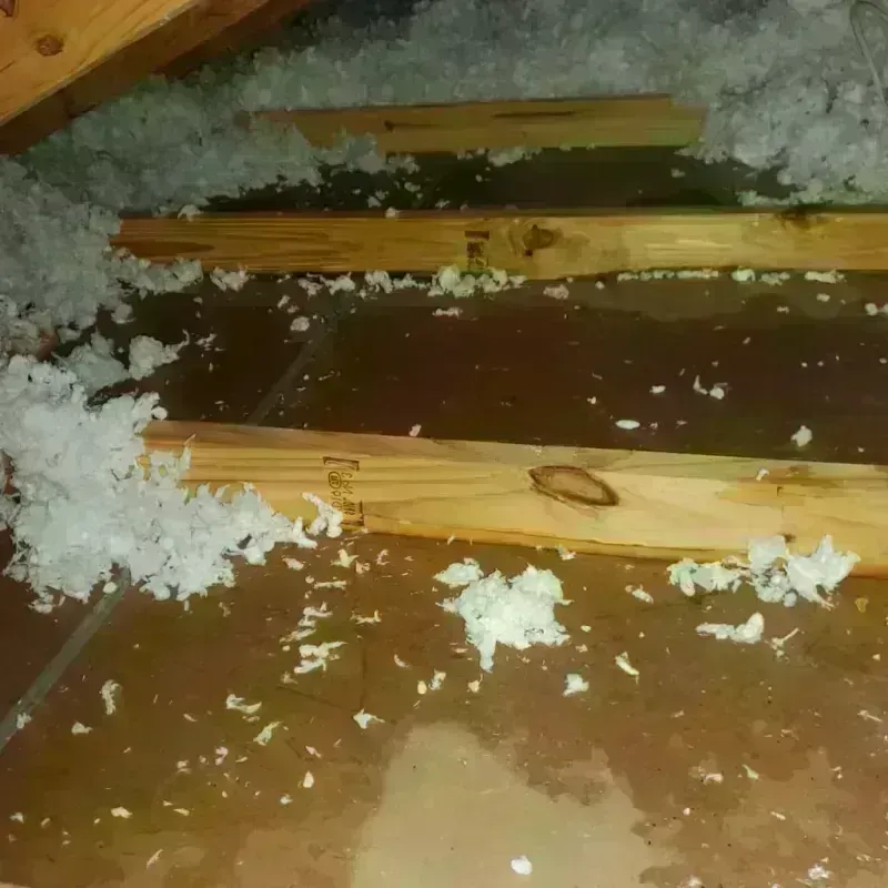 Attic Water Damage in Evergreen, CO