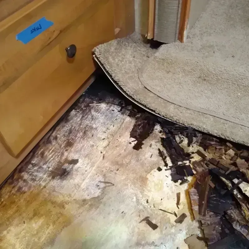 Wood Floor Water Damage in Evergreen, CO